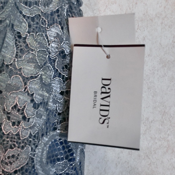 NWT David’s Bridal Steel Blue Short Lace Dress High Neck,V-Back, Lined Size 8 - Picture 4 of 16